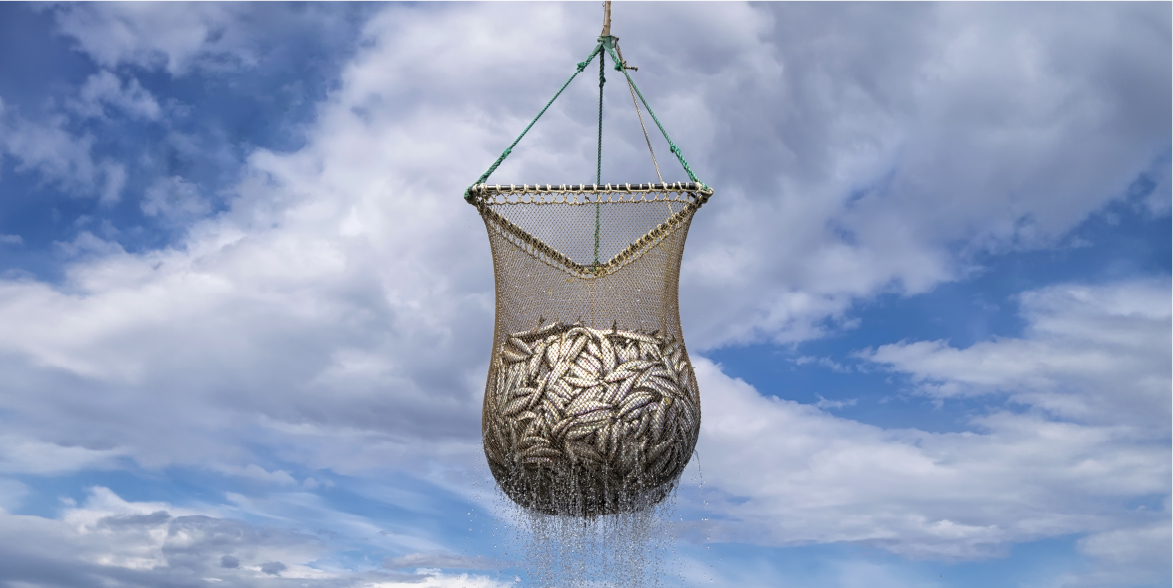 Aruna topik overfishing